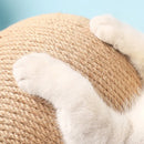 Arranhador Rotativo para Gatos