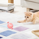 Bolinha Rolante Automática Recarregável para Gatos